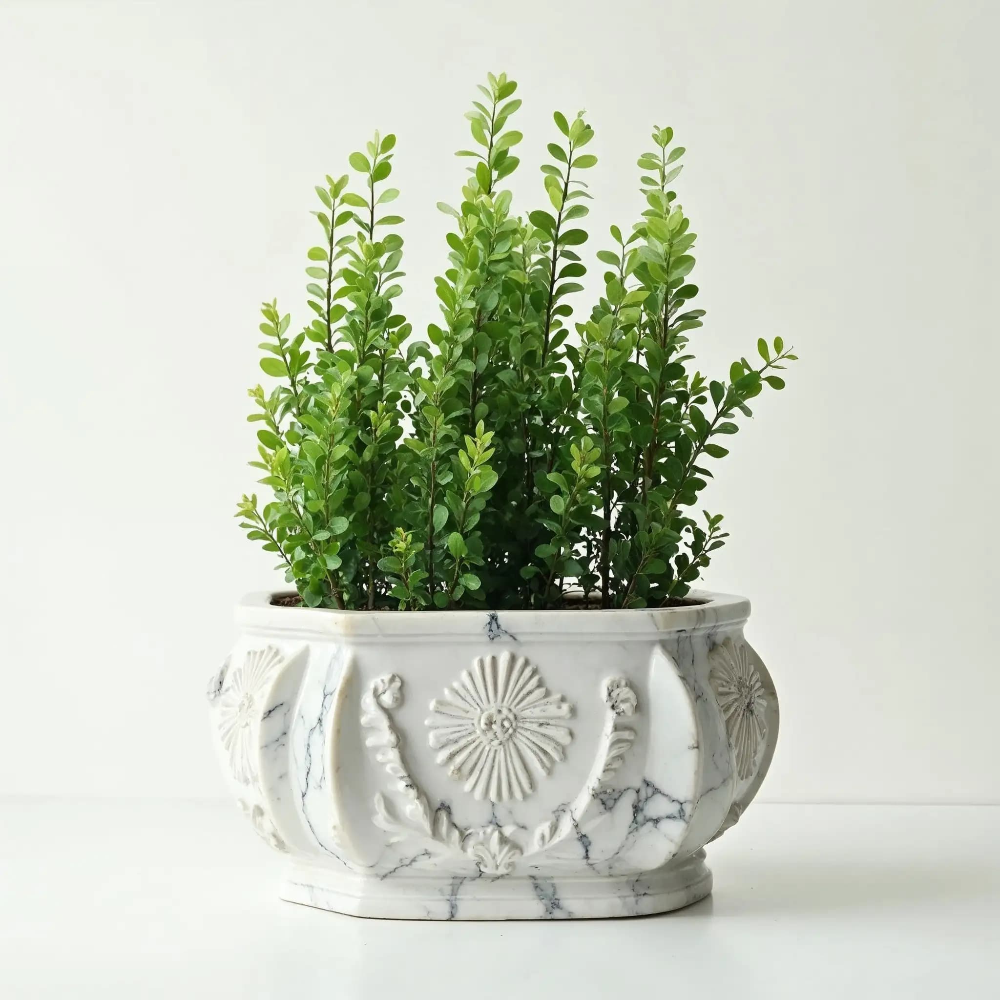 Alternate view 4 of the Giardino carved marble planters
